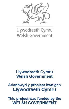 Welsh Govt Logo